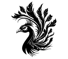 Monochrome peacock. Animal bird vector illustration, peafowl art design