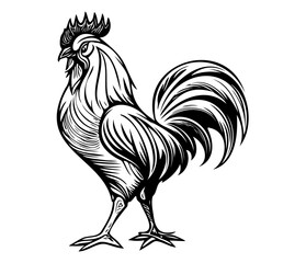 Chicken cock Rooster, Chickens roosters, Farm Animal illustration 