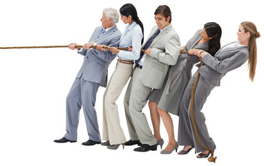 Business people pulling a rope