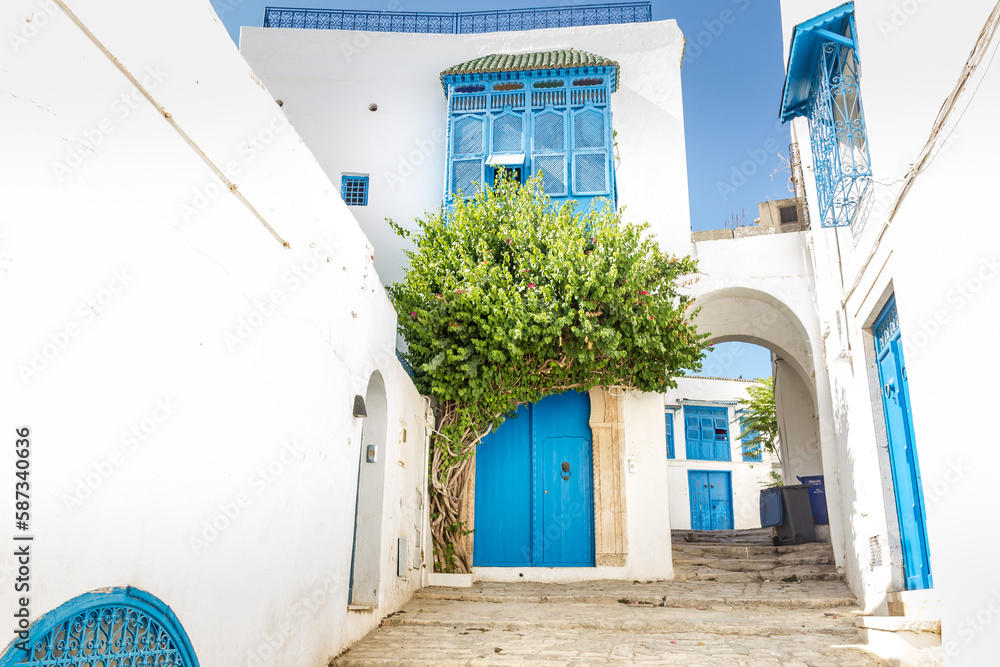 Wall mural The village of Sidi Bou Said, Carthage, Tunisia