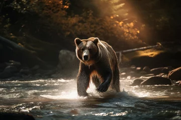 Fototapeten A bear walking in a river with the sun shining on its face. AI generated. © Rodrigo