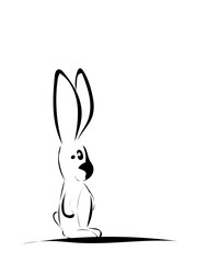 Hase