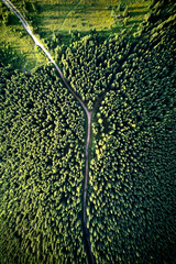 Aerial drone view of mountain road or pathway through alpine coniferous forest with green trees. Beautiful landscape of hiking path passing through conifer woods in lush green woodland.