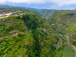 A volcanic gorge covered with dense green vegetation. La Galga, La Palma, Canary Islands, Spain.