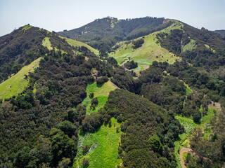 Fototapeta na wymiar Aerial View at Green Volcanic Hills near Villa de Valverde at El Hierro Island. Canary Island, Spain.