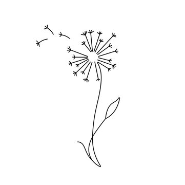 Vector isolated one single dandelion blowball flower with flying seeds colorless black and white contour line easy drawing