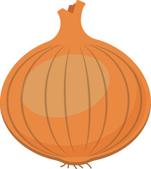 a whole onion front brown