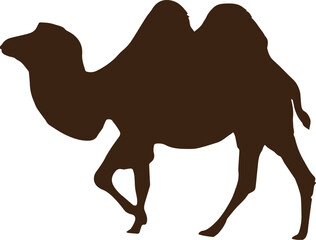 
vector camel illustration design