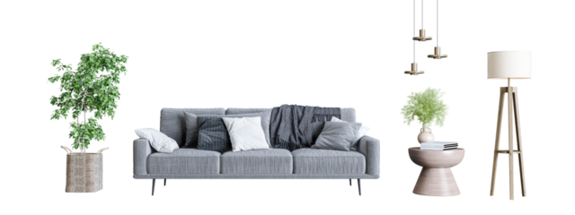 Front of view sofa and plant in 3d rendering	
