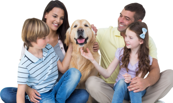 Family stroking dog