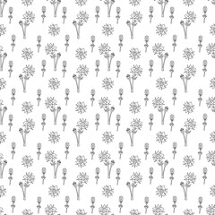 Seamless pattern with dream grass flower or pulsatilla. Doodle black and white vector illustration.