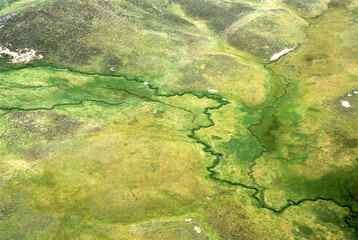 Iles Falkland, Malouines, Iles Sub Antarctiques