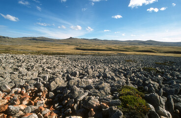 Quartzite, Phénomene geologique, Iles Falkland, Malouines, Iles Sub Antarctiques