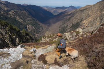 hiking woman doing a mountain route with her golden retriever dog