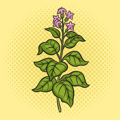 Nicotiana tobacco plant pinup pop art retro vector illustration. Comic book style imitation.