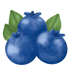 blueberries isolated on white