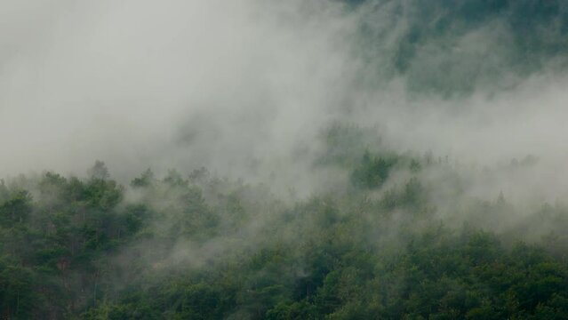Mountain landscape. rain clouds move over the forest. Türkiye.