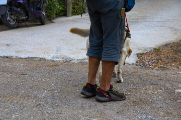 Obraz premium A Guiding Dog Help A Man Who Needs Its Assistance to Walk and Moving Around
