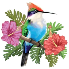 Fotobehang Draw Hummingbird resting and Hibiscuses Watercolor Style Vector illustration isolated on white 