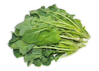 Rapeseed(canola) leafy vegetables on a white background with clipping path.