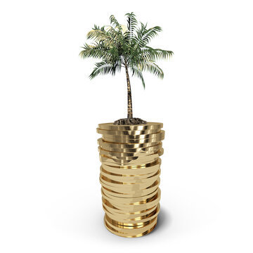 Coconut tree on stack of gold coins