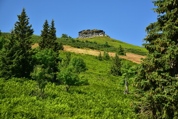 Peter´s stones Jeseniky summer rock