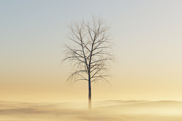Lone leafless tree on foggy terrain. 3d Illustration