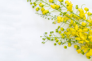 Vishu Flower isolated on white background, 2023 Vishu greeting image © forclick