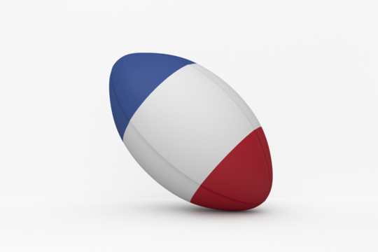 French flag rugby