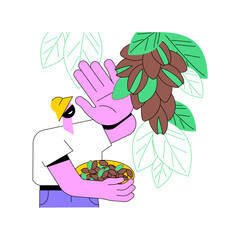 Pistachios growing isolated cartoon vector illustrations. Young farmer picks pistachios from the tree, agriculture enterprise, agribusiness idea, processing-manufacturing sector vector cartoon.
