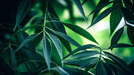 Naklejka na ściany i meble Green leaves background with blur bokeh light, Nature background, Generative AI