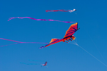 Fototapeta na wymiar Colorful Kites in a Blue Sky