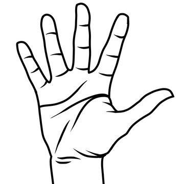 Right palm hand line art illustration on transparent background