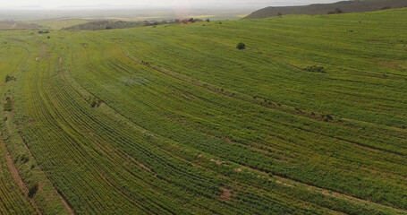 Scenic view of landscape