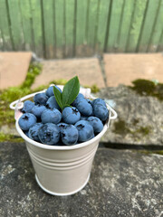 Blueberries in the small bucket