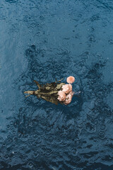 Bouquet of beige fresh flowers floating in the splashing water. Aesthetic details