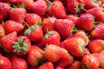 Fresh organic red strawberry fruit background
