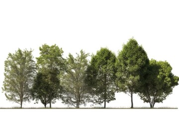 Fototapeta na wymiar group of trees on a white background. Generative AI