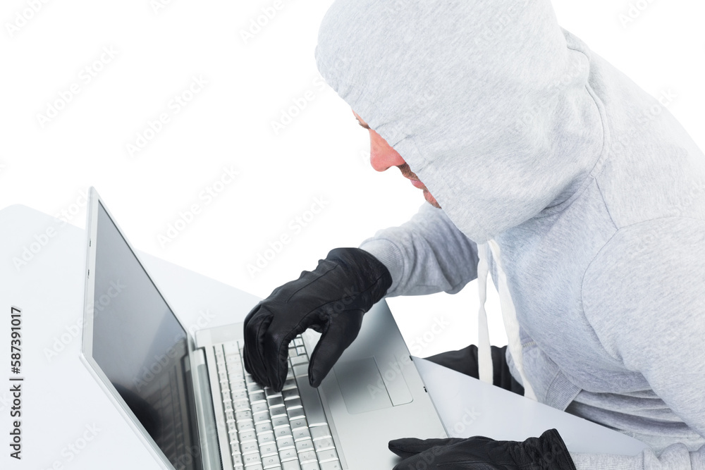 Poster hacker using laptop to steal identity