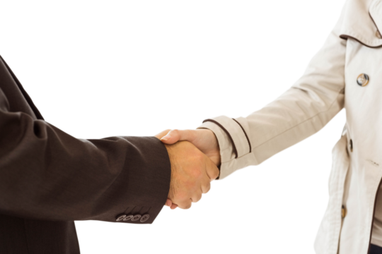 ale and female corporate people shaking hands