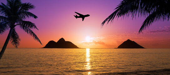 plane traveling to hawaii with sunset and palm trees - obrazy, fototapety, plakaty