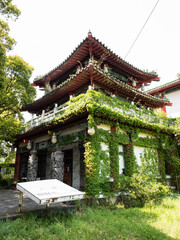 Abandoned building of a regional museum. Museum closed in 2007 - Tatsukushi, Kochi prefecture, Japan