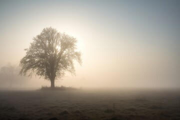 Obraz na płótnie Canvas a foggy field with a lone tree in the middle of the field and the sun shining through the fog in the distance behind the tree. generative ai