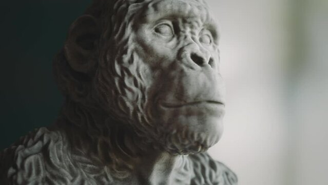 Human ancestor stone sculpture. Neanderthal, primal man, ape man. 3D animation.