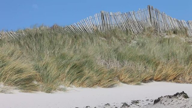Conservation du littoral