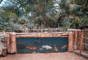 aquarium in wildlife park
