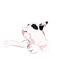 French bulldog vector illustration. Hand drawn dog. Sticker isolated on white background.