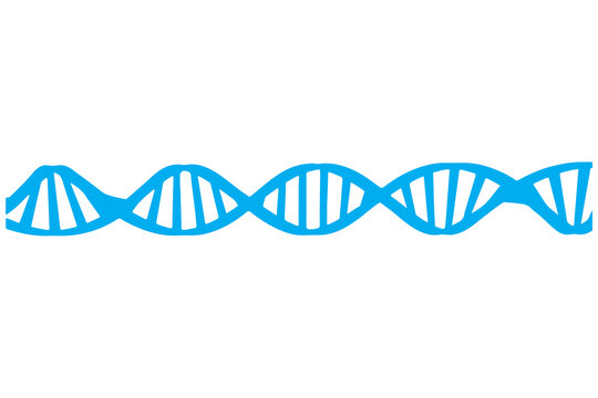 Digitally generated image of blue DNA