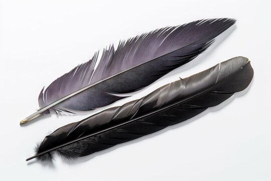 two black and white feathers on a white background with a gold tip on the tip of the feather, and a black and white feather on the tip of the end of the feather.  generative ai