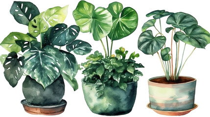 watercolor illustration of potted house plant. Generative Ai